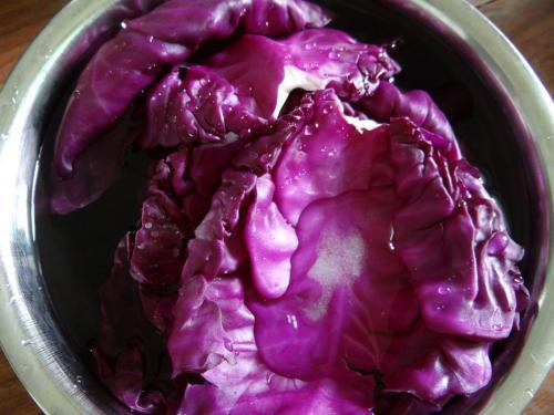 紫色蔬菜图片及名称，紫色的蔬菜是什么样子的（为什么炒紫甘蓝后会变色）