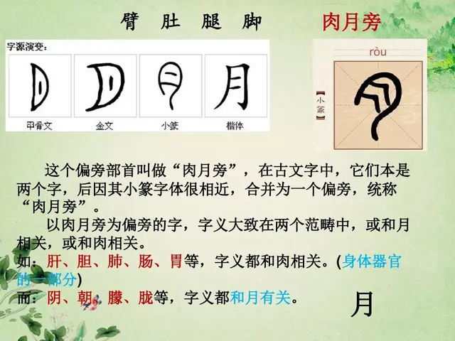 据说的近义词是什么，含有近义词的四字词语（部编版一年级下册《语文园地四》知识点+图文讲解）