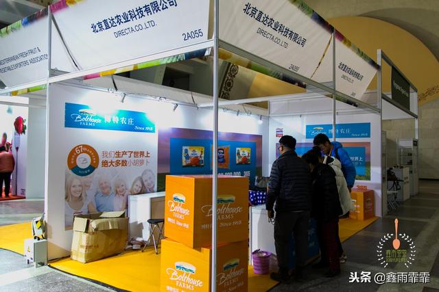 菊苣怎么读是什么意思，菊苣怎么读（这百种水果不要说吃过）