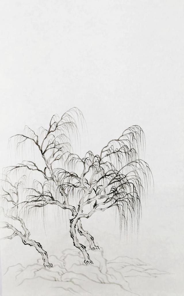 画柳树的画法，山水画中柳树的画法