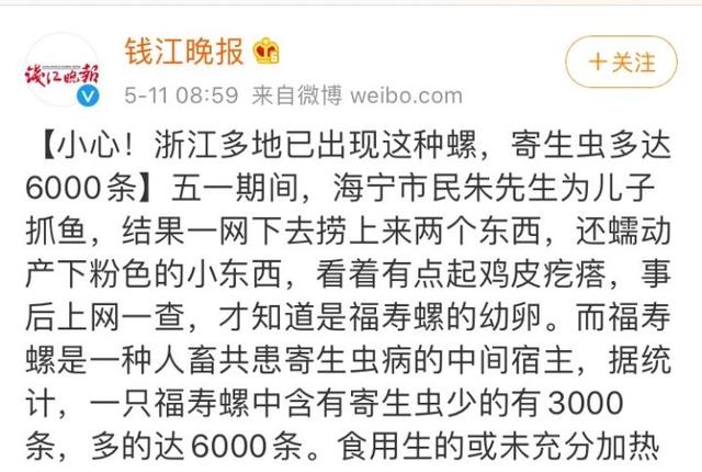 田螺吃哪个部位示范图，田螺的吃法吃那个部位（可能会感染中枢神经）