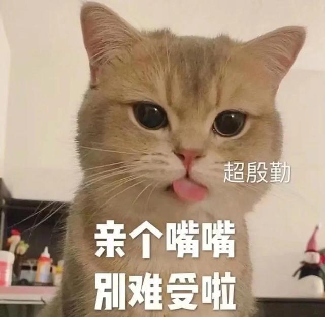 一对可爱狗狗表情包图集，情侣专用狗狗猫猫可可爱爱沙雕表情包