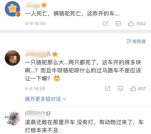 于月仙车祸原因，谢大脚于月仙车祸原因（座驾凌晨与骆驼相撞）