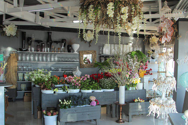 新手如何开花店，花艺培训学费800左右的（开花店前期准备攻略）