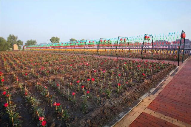 东辽县属于哪个市，东辽县属于哪个市管（辽源市东辽县安石镇朝阳村——全国乡村旅游重点村之一）