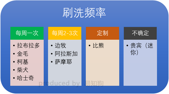 常见犬类品种大全，犬分类品种大全（国内十大流行犬种横向对比）