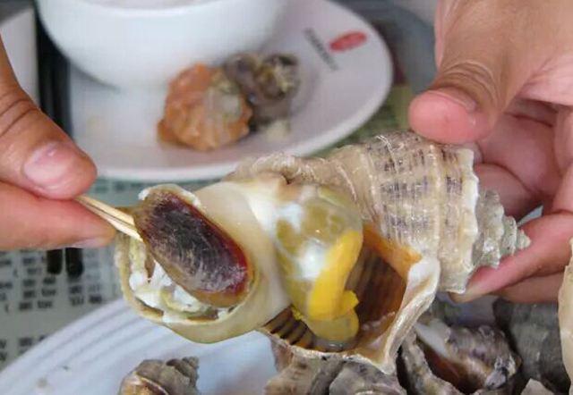 海螺不能吃部位详解图，海螺哪些部位不能吃（但是这两个部位一定别吃）