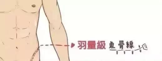 什么是人鱼线，什么是马甲线（人鱼线的四种等级，请对号入座）