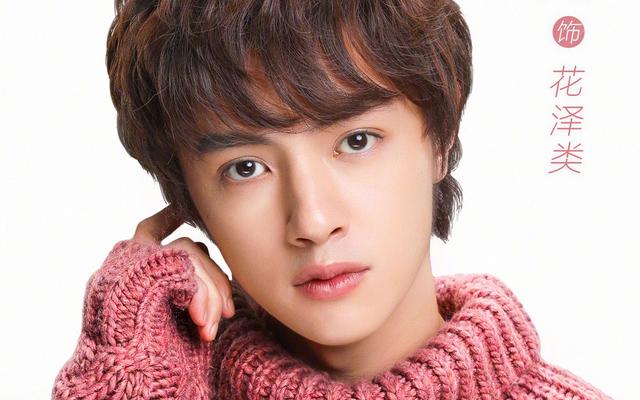 新版流星花园花泽类是谁演的，从“花泽类”到“唐泛”