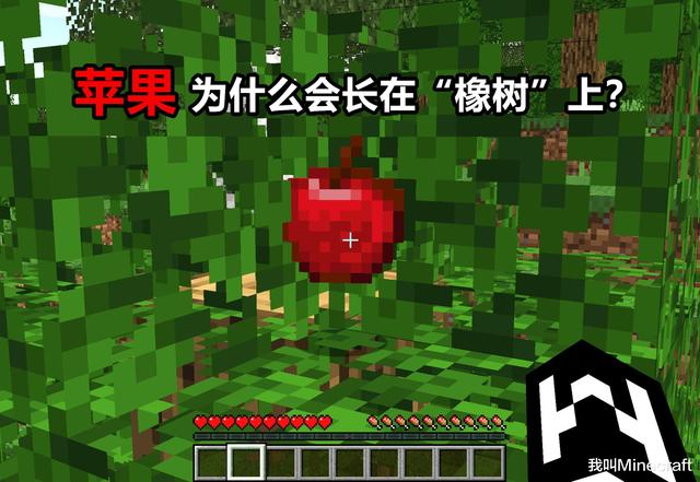 我的世界附魔金苹果怎么做，我的世界金苹果怎么做（《我的世界》为什么苹果会长在“橡树”上）