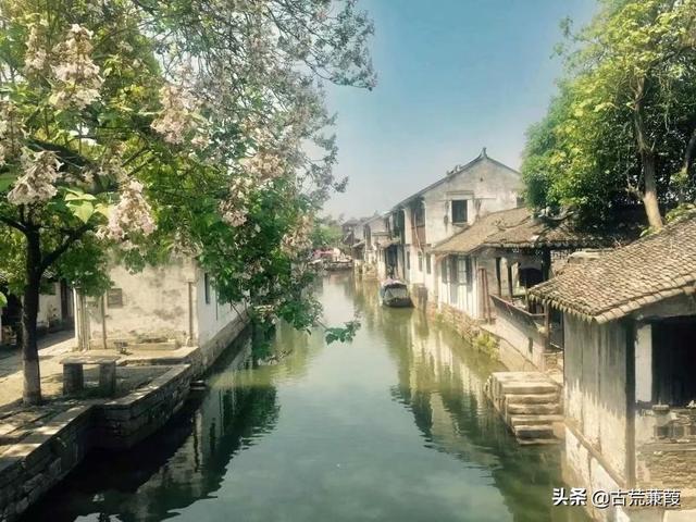 葱茏和葱笼的区别，茏苁（风月葱茏记忆暖）