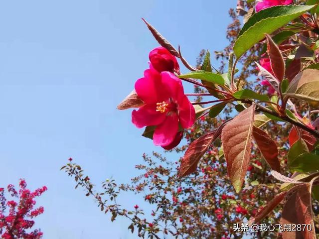 高二的家长寄语简单又朴实，高二学生家长寄语（衡中高二成年礼家长寄语）