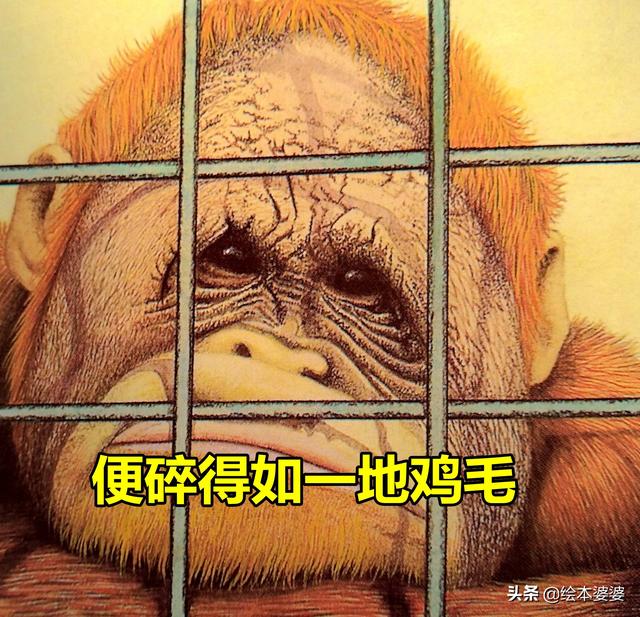 感应调压器原理，感应调压器原理图解（其实只是买错了顺序）