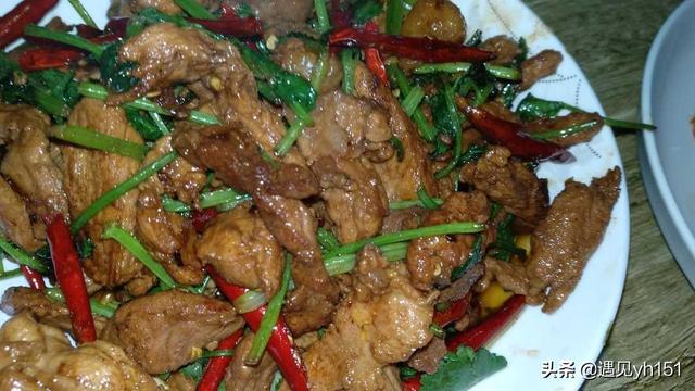 香菜炒肉做法窍门，香菜炒肉的做法 最正宗的做法（香菜炒肉对于喜欢吃香菜的来说就是美味）