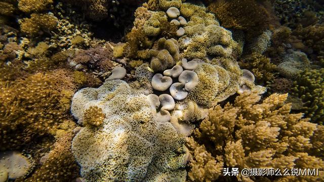 梦幻天堂游戏手机版下载，梦幻天堂经营手游官网最新版下载安装安卓版appv45.0.2（我才明白什么叫做梦幻天堂）