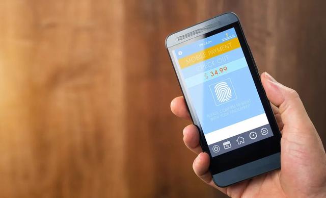 rapido官网，rapido中国官网（rapido是什么牌子衣服）