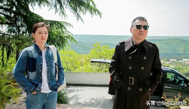 不惑之年电视剧在线观看梅婷，陈建斌梅婷演的什么电视剧（《不惑之旅》褒贬不一）