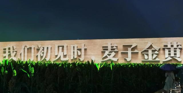 只有河南戏剧幻城，只有河南·戏剧幻城在哪里（“只有河南·戏剧幻城”极简攻略）