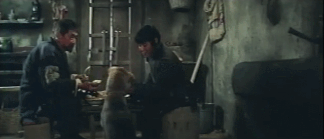 电影女儿谷剧情介绍，女儿谷大结局什么（这部国产禁片终于被找到）