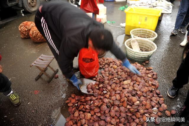 红扇贝为什么便宜，鸳鸯贝和扇贝哪个贵（老板扒壳卖肉馅价格倍增）