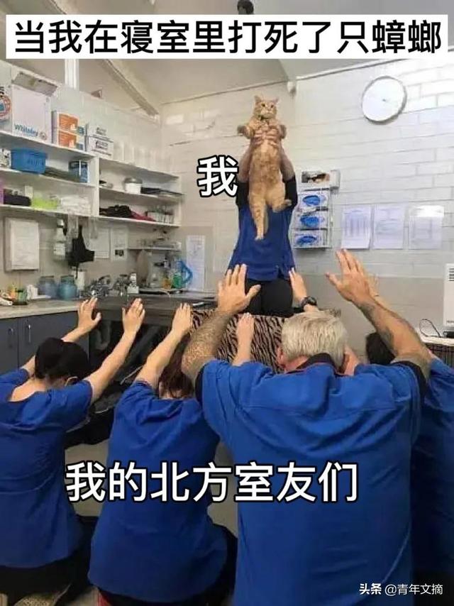 万水千山总是情下一句，万水千山总是情下一句是什么（万水千山总是情）