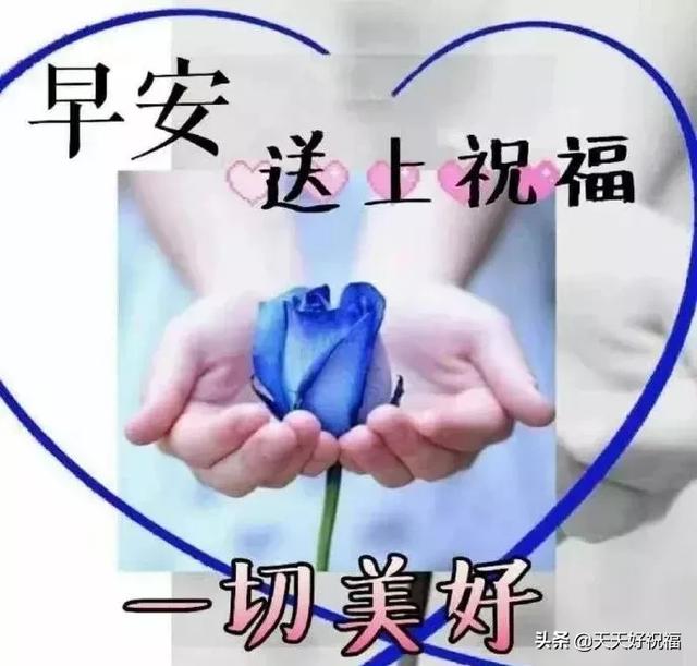 早安一句话唯美句子，早安心语每日一语（新的一天早安祝福语精美语句）