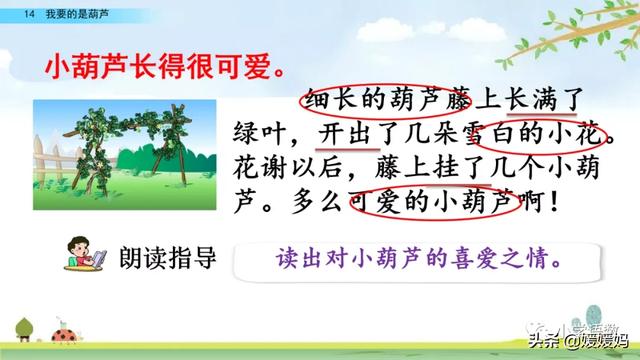 什么的枝叶填空，什么枝叶填空二年级（部编版二年级上册第14课《我要的是葫芦》课件及同步练习）