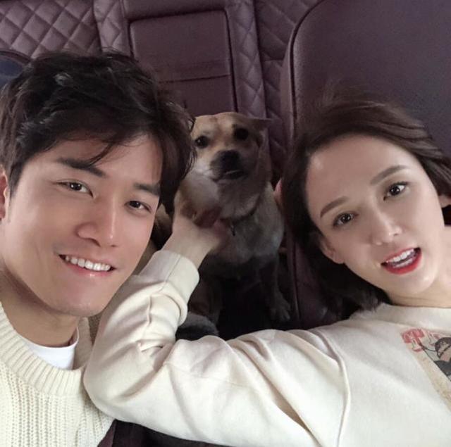 陈乔恩和张翰合作过哪部电视剧，张翰和陈乔恩拍了什么电视剧（遇到小9岁男友艾伦）