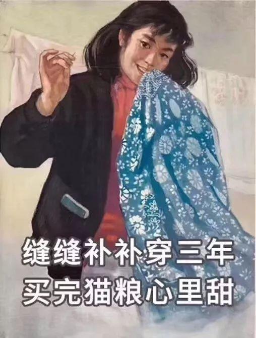 怎么解决猫咪挑食的问题，改善挑食，是一场人猫拉锯战