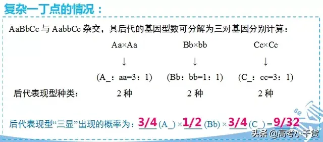 什么是基因的遗传信息，什么是基因的遗传信息传递（<基因、遗传篇>建议收藏）
