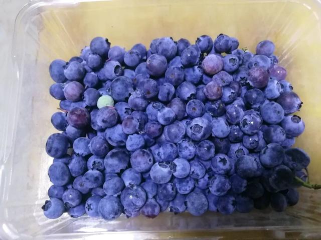 霸王花是火龙果的花吗，昙花、霸王花、火龙果花和令箭荷花的区别（奶奶把一根枝插土里）