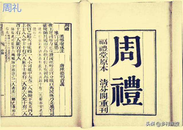 葵菜是什么，葵菜是什么颜色（一口气搞懂葵的前世今生）