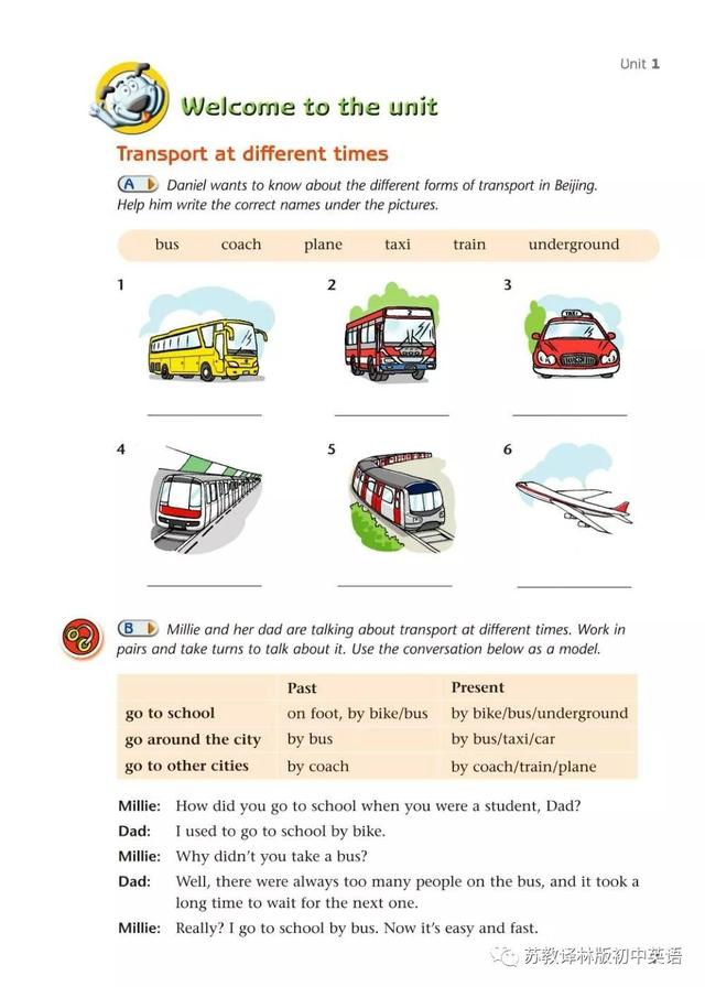 游乐场英文怎么写，游乐场英文（寒假预习，苏教译林版初中英语）