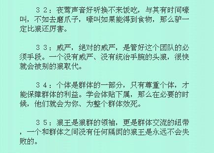 狼性团队精神感悟，狼性团队精神感悟口号（要想干成事情就得学一下狼）