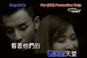 范逸臣 - 忘了爱歌词是什么，范逸臣的放生（他是王菲孙燕姿的作词人）