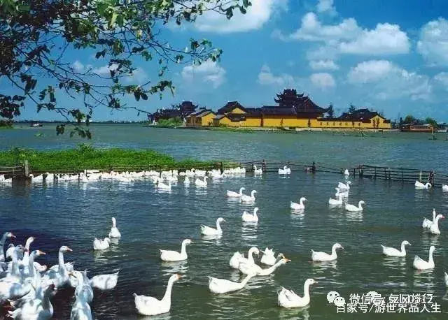 苏州旅游必去景点，苏州十大著名景点排行（苏州“最热门”的10大旅游景点）