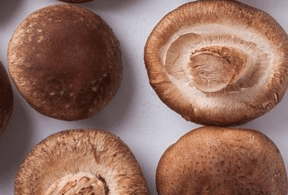 香菇黑了还能吃吗，香菇变黑了还能吃吗（碰到中“4种”切记不要买）