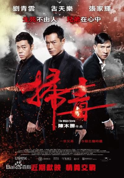 张家辉有什么经典的电影，张家辉十大经典电影
