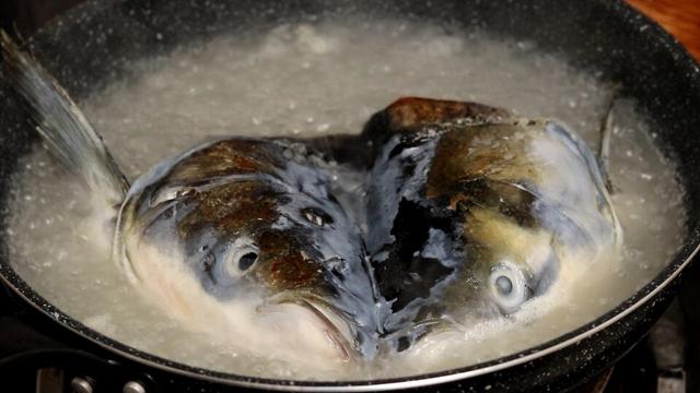 煮鱼汤用热水还是冷水，熬鱼汤应该放开水还是冷水（难怪鱼汤不白还腥）