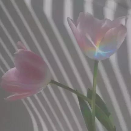 高清 唯美云朵高清背景图,微信头像,高清 唯美云朵高清背景图(柔柔的风透着花的味道) 高清 唯美云朵高清背景图,微信头像,高清 唯美云朵高清背景图(柔柔的风透着花的味道)