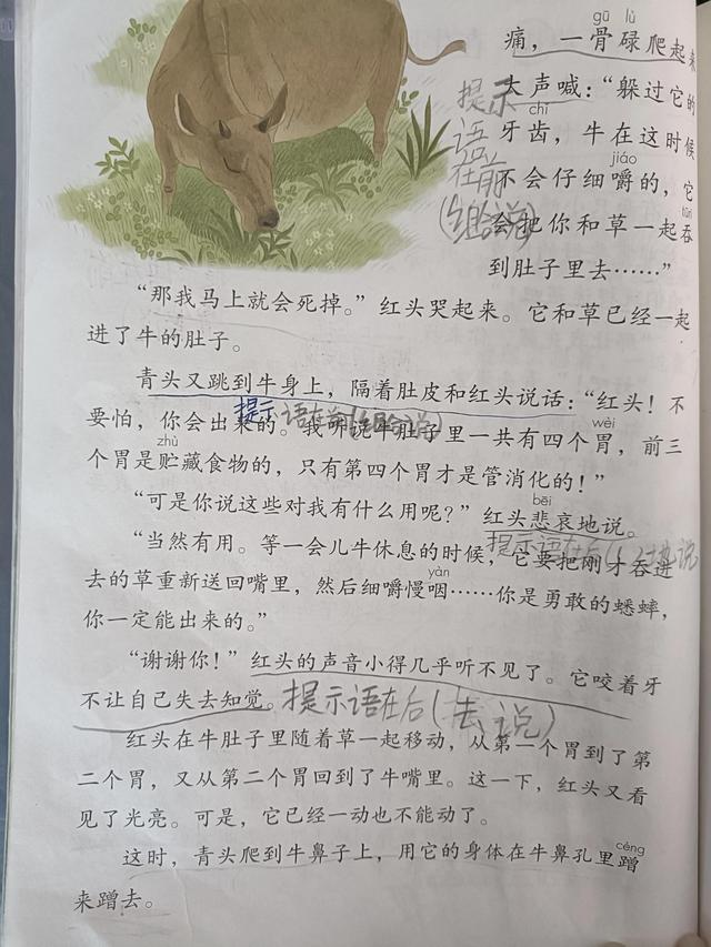 什么叫提示语，什么叫提示语后置（提示语在课文中的应用实例——《在牛肚子里的旅行》）