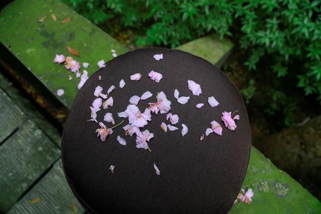 隐居田园的诗句，隐居田园的诗人（一起领略古人笔下的诗酒田园）