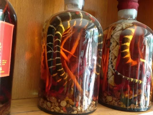 黑蚂蚁泡酒的危害，黑蚂蚁泡酒的功效与作用（男子喝用黑蚂蚁秘制的药酒后心肌梗死）