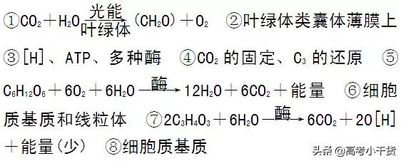 高中生物必修一思维导图，高中生物必修一全部思维导图（高中生物必修1思维导图）