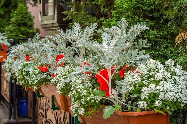 糖衣炮弹什么意思，甜言蜜语糖衣炮弹什么意思（感情里男人玩玩而已）