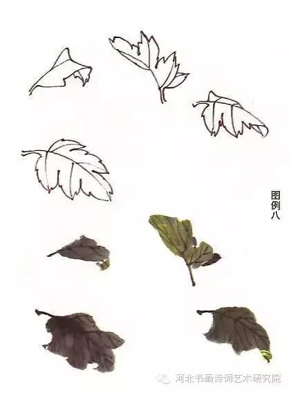 花的画法——菊花的画法，菊花是怎么画（菊花画法大全）