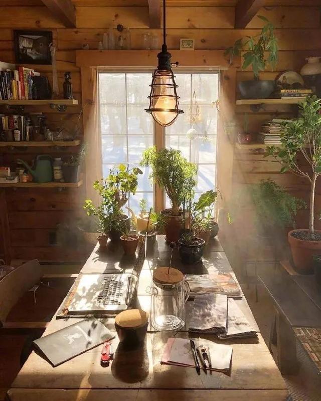 错过就从新开始而不是重新开始/苏苏/愿喜，错过了就从新开始 而不是重新开始是什么意思（我总不能为了你，自己错过吧图片）