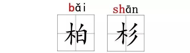 汉字松的组词，松的组词（部编版二年级语文上册识字2《树》知识点+图文解读）