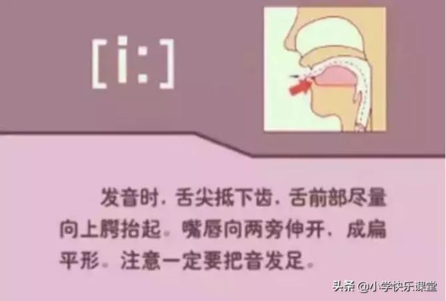 音标读音表发音教学，音素表怎么写（48个国际英语音标发音表及口型）