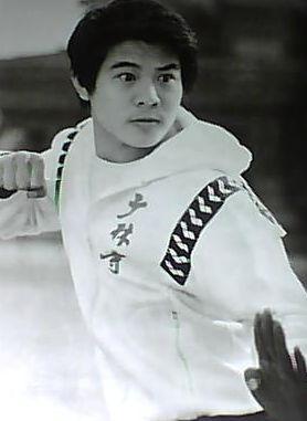 李连杰的祖上是谁，李连杰家世惊人十大元帅是谁（功夫巨星的神秘家世）